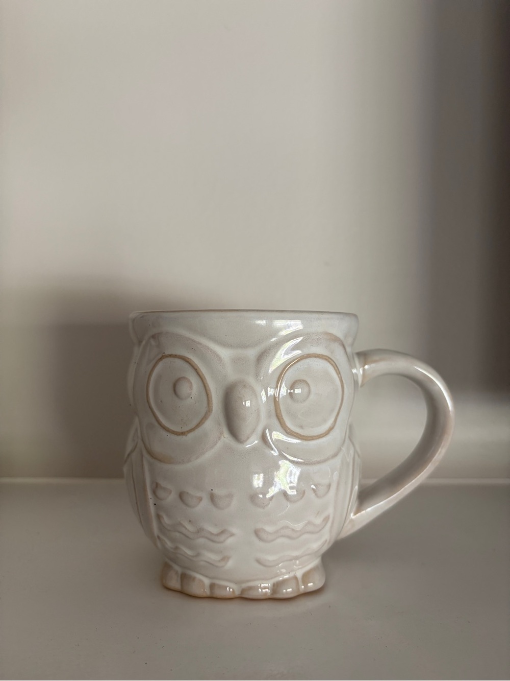 Indigo Cream Owl Ceramic Mug